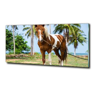 Cuadro de cristal templado moderno horizontal Caballo moteado