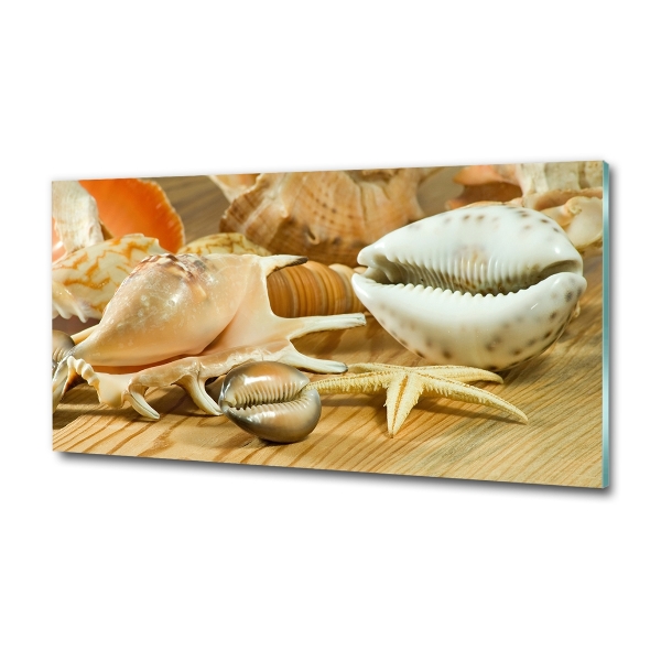 Cuadro de cristal templado moderno horizontal Conchas sobre madera