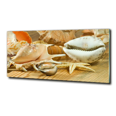 Cuadro de cristal templado moderno horizontal Conchas sobre madera