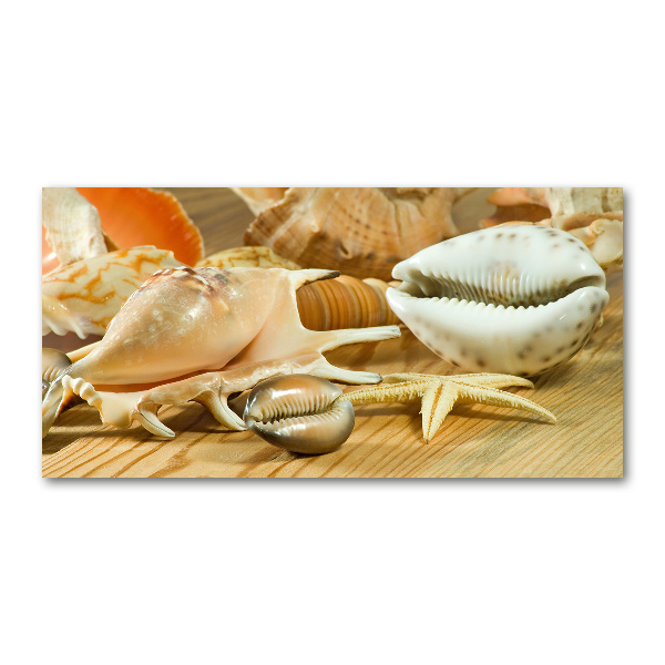 Cuadro de cristal templado moderno horizontal Conchas sobre madera