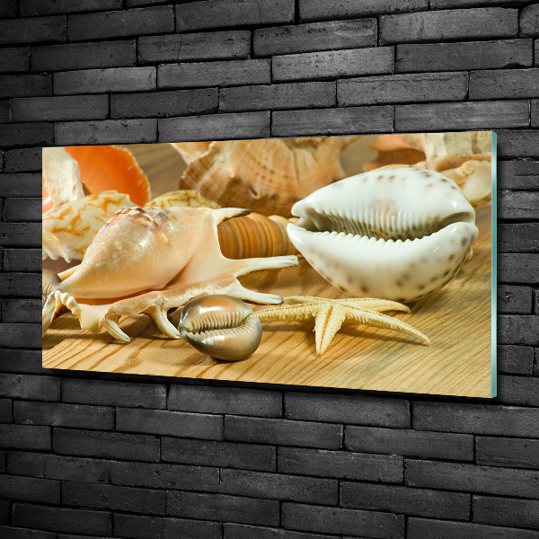 Cuadro de cristal templado moderno horizontal Conchas sobre madera