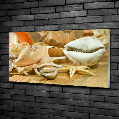 Cuadro de cristal templado moderno horizontal Conchas sobre madera