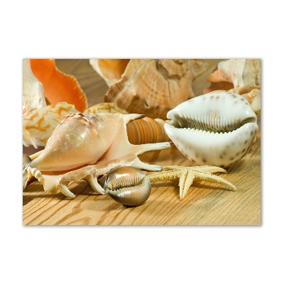 Cuadro de cristal templado moderno horizontal Conchas sobre madera