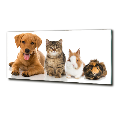 Cuadro decorativo de vidrio para salón horizontal Perro y gato