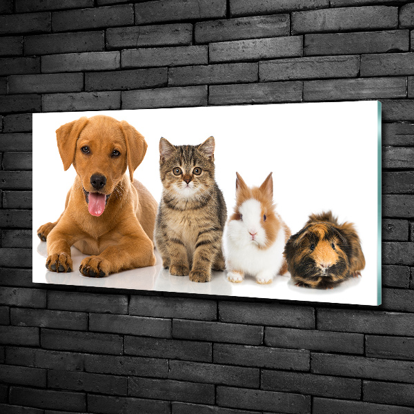 Cuadro decorativo de vidrio para salón horizontal Perro y gato