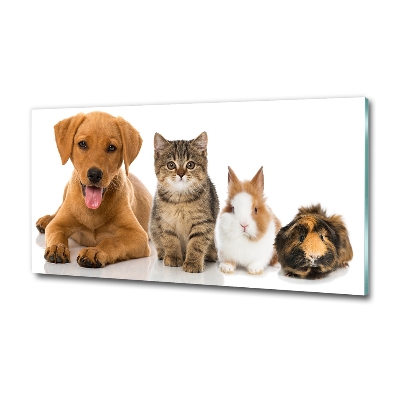 Cuadro decorativo de vidrio para salón horizontal Perro y gato