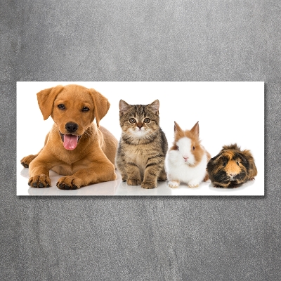 Cuadro decorativo de vidrio para salón horizontal Perro y gato
