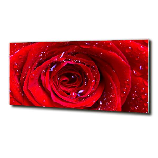 Cuadro de cristal templado moderno horizontal Flor de rosa