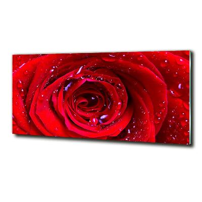 Cuadro de cristal templado moderno horizontal Flor de rosa