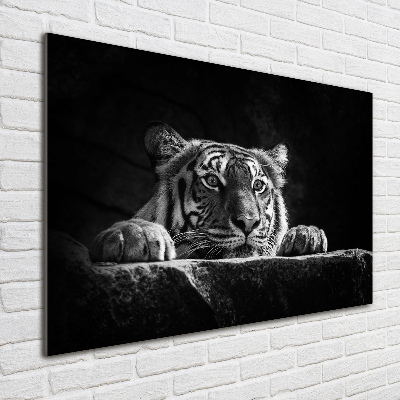 Cuadro de cristal templado moderno horizontal Tigre