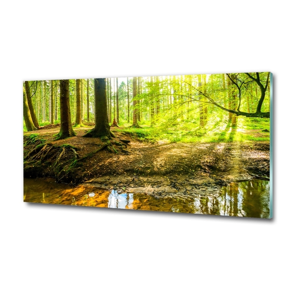 Cuadro decorativo de vidrio para salón horizontal rayos de sol en el bosque