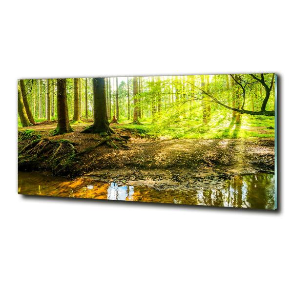 Cuadro decorativo de vidrio para salón horizontal rayos de sol en el bosque