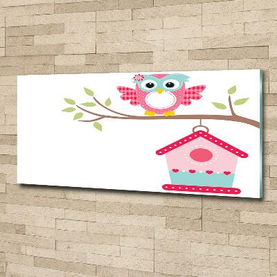 Cuadro de cristal templado moderno horizontal Búho en una rama