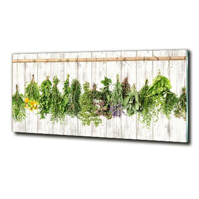 Cuadro decorativo de vidrio para salón horizontal Hierbas en una cuerda