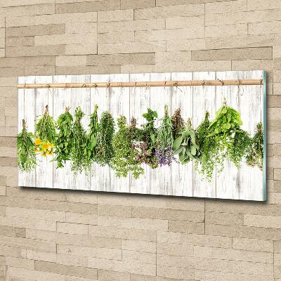 Cuadro decorativo de vidrio para salón horizontal Hierbas en una cuerda