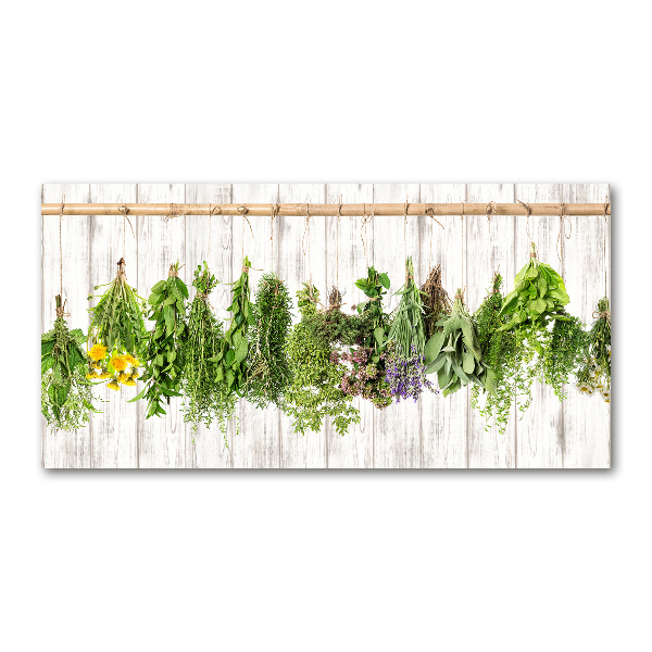 Cuadro decorativo de vidrio para salón horizontal Hierbas en una cuerda