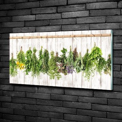 Cuadro decorativo de vidrio para salón horizontal Hierbas en una cuerda