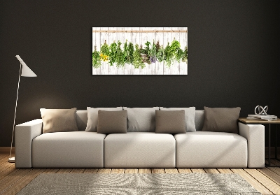 Cuadro decorativo de vidrio para salón horizontal Hierbas en una cuerda