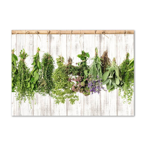 Cuadro decorativo de vidrio para salón horizontal Hierbas en una cuerda