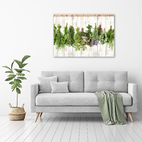 Cuadro decorativo de vidrio para salón horizontal Hierbas en una cuerda