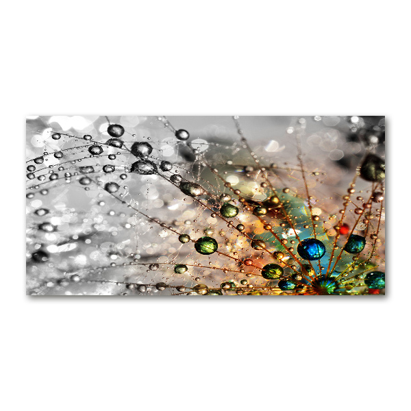 Foto en cristal de alta calidad con impresión uv horizontal semillas de diente de león