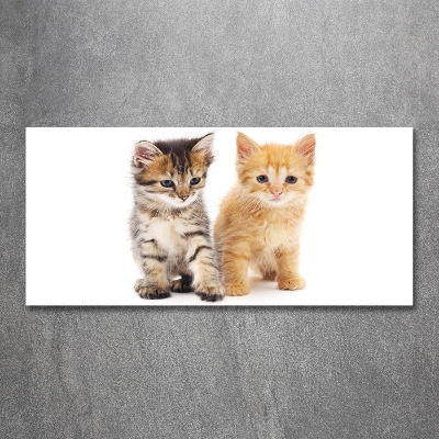 Impresión en cristal con acabado brillante horizontal Gato marrón y jengibre