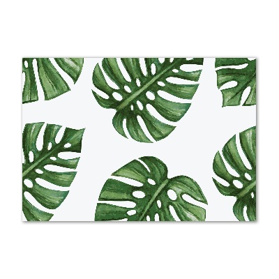 Foto obraz szkło hartowane Monstera