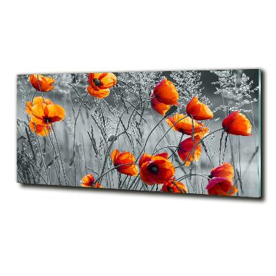 Cuadro de cristal templado moderno horizontal Amapolas de campo
