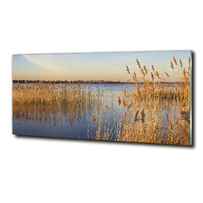 Cuadro de cristal templado moderno horizontal Junco de agua