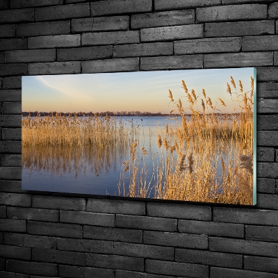 Cuadro de cristal templado moderno horizontal Junco de agua