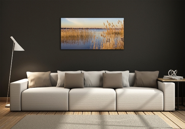 Cuadro de cristal templado moderno horizontal Junco de agua