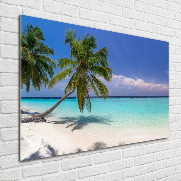 Foto obraz szkło hartowane Panorama plaży