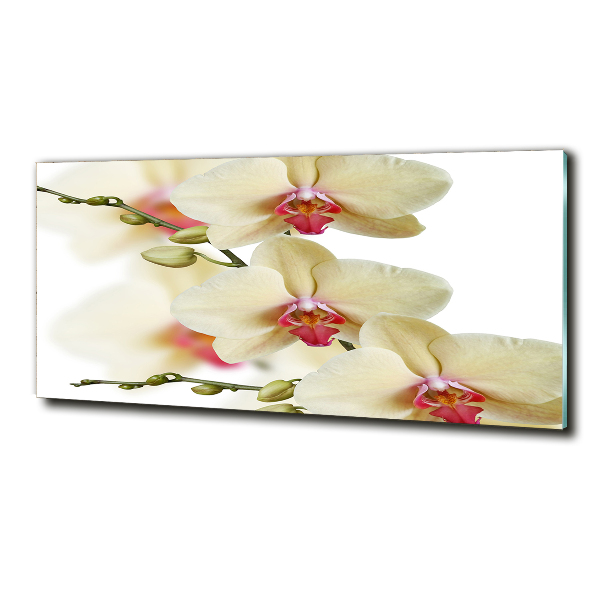 Foto en cristal de alta calidad con impresión uv horizontal Orquídea