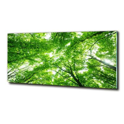 Cuadro de cristal templado moderno horizontal Bosque verde