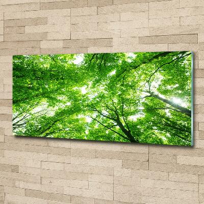 Cuadro de cristal templado moderno horizontal Bosque verde