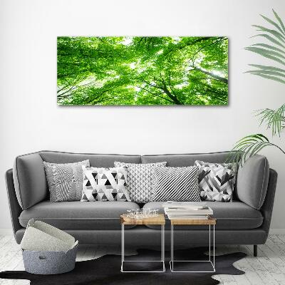Cuadro de cristal templado moderno horizontal Bosque verde