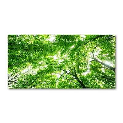 Cuadro de cristal templado moderno horizontal Bosque verde