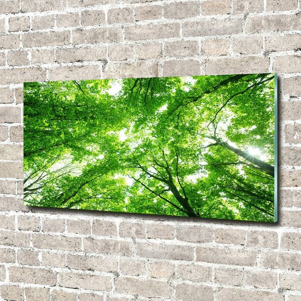 Cuadro de cristal templado moderno horizontal Bosque verde