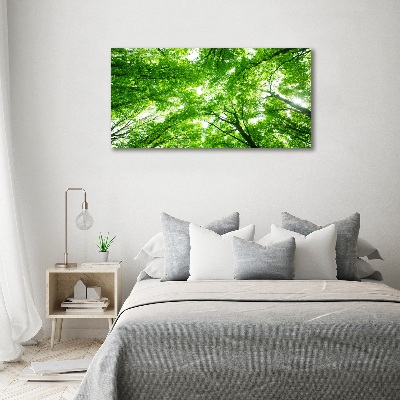 Cuadro de cristal templado moderno horizontal Bosque verde