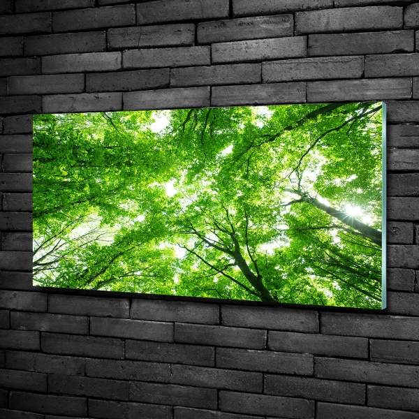 Cuadro de cristal templado moderno horizontal Bosque verde
