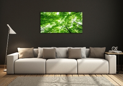 Cuadro de cristal templado moderno horizontal Bosque verde