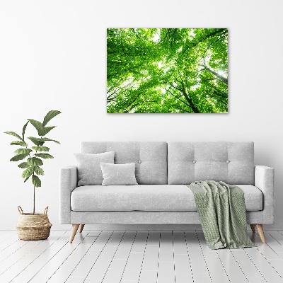 Cuadro de cristal templado moderno horizontal Bosque verde