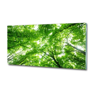 Cuadro de cristal templado moderno horizontal Bosque verde