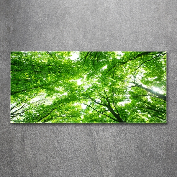 Cuadro de cristal templado moderno horizontal Bosque verde