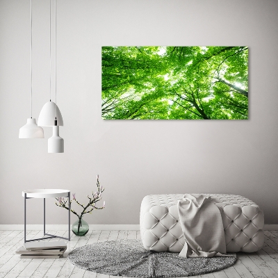 Cuadro de cristal templado moderno horizontal Bosque verde