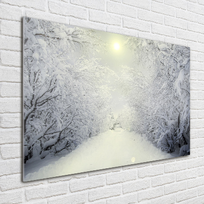 Impresión en cristal con acabado brillante horizontal Hermoso bosque en invierno