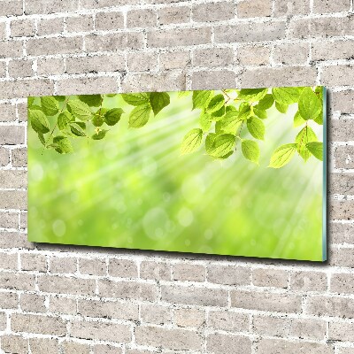 Foto en cristal de alta calidad con impresión uv horizontal Hojas