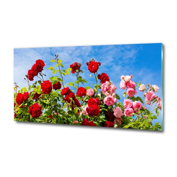 Cuadro de cristal templado moderno horizontal Rosas silvestres