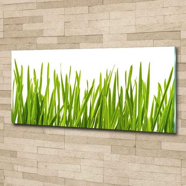 Cuadro decorativo de vidrio para salón horizontal Césped