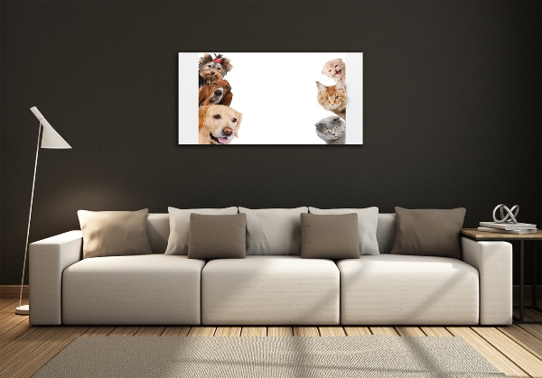 Impresión en cristal con acabado brillante horizontal Perros y gatos